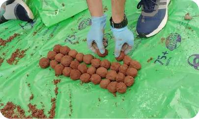 Prepared seedballs arranged on mat during environmental activity 